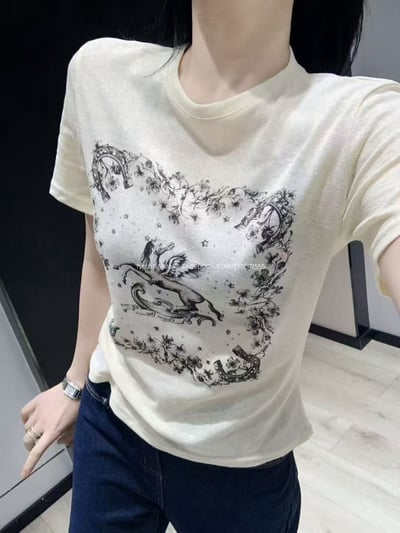 Dior微透童話飛馬T1