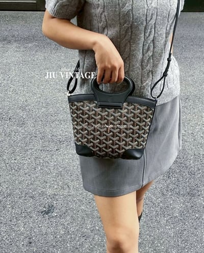 Goyard  beluga 菜籃包4