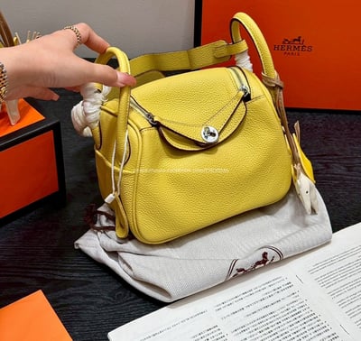 愛馬仕 Lindy mini包 11