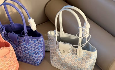 Goyard迷你tote 7