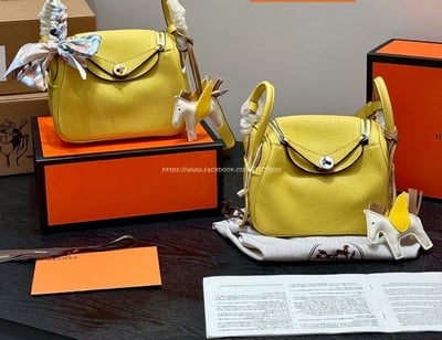 愛馬仕 Lindy mini包 10