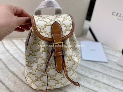 Celine Triomphe Canvas1