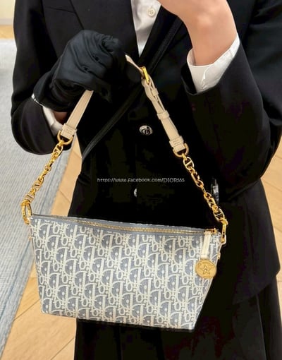 Dior飯盒包2