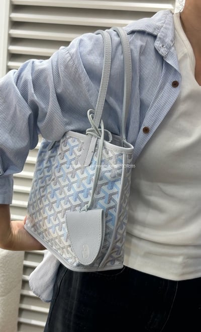 Goyard迷你tote 5