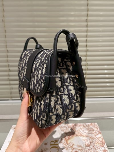 Dior馬鞍包7