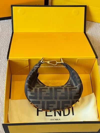 Fendi graphy半月包11