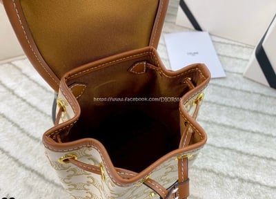 Celine Triomphe Canvas6