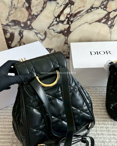 Dior後背包15