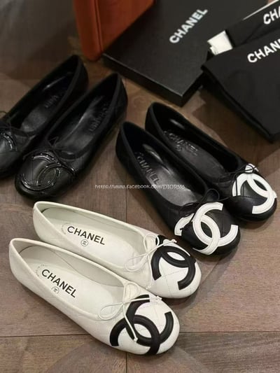 小香康鵬芭蕾舞鞋12