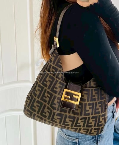 Fendi zucca 老花牛角包6