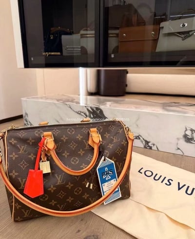 LV SPEEDY30枕頭包4