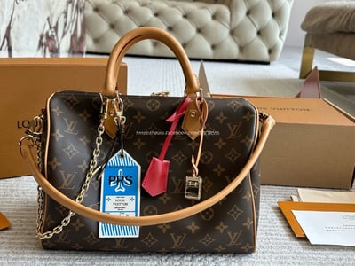 LV SPEEDY30枕頭包11