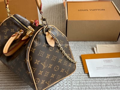 LV SPEEDY30枕頭包5