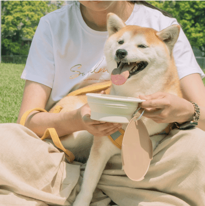 怪獸部落LitoMon 怪獸部落 防塵折疊碗3