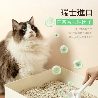 【整箱免運】肉球世界 寵確幸植物豆腐貓砂 3.2KG8