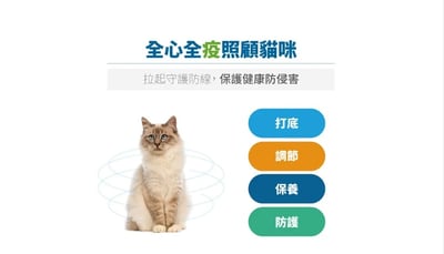 木入森MORESON 貓咪護疫升 貓咪離胺酸 (免疫配方)寵物保健 營養品 Cat Health6