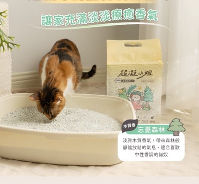 超凝小姐｜0碎塊超凝結混合砂-忘憂森林香4