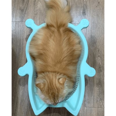 SOKURI 貓籃 | 韓國 CatBang14