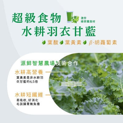 hojja賀家 台灣米其林貓主食罐 80g/165g3