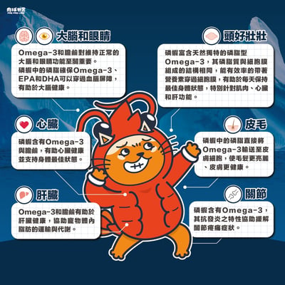 肉球世界 南極磷蝦大肉包主食餐包(貓)45g7