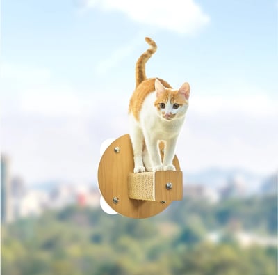 怪獸部落LitoMon 漫步雲端 吸盤式貓吊床4