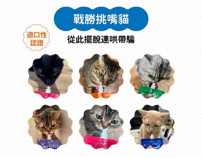 RURU PUREE 肉泥嚕嚕包11