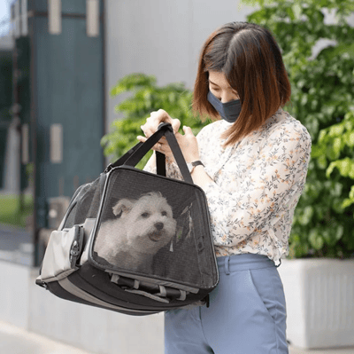 DogCatStar 汪喵星球 小方塊二代｜寵物外出包5