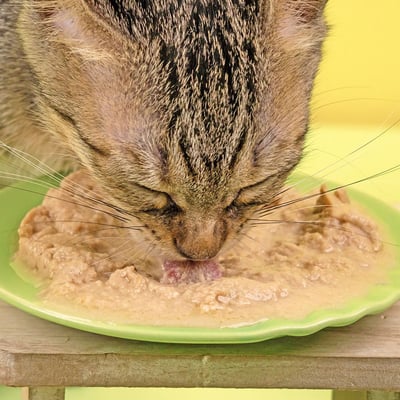 怪獸部落LitoMon 貓用｜寶寶無膠主食罐 82g/165g5