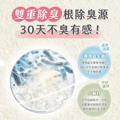 0黏底瞬效凝結木薯砂【淡雅奶香】| 超凝小姐5