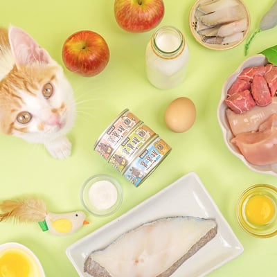 怪獸部落LitoMon 貓用｜寶寶無膠主食罐 82g/165g7