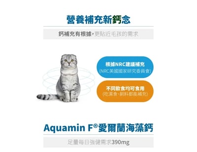 木入森MORESON 貓咪D藻鈣(補鈣 骨骼健康) 寵物保健 營養品 Cat Health5