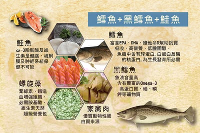 CALIMBA 德國凱琳-無穀主食貓罐 200g16