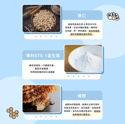 陪心機能PLUS | No.1專利益生菌牙齦保健粉5