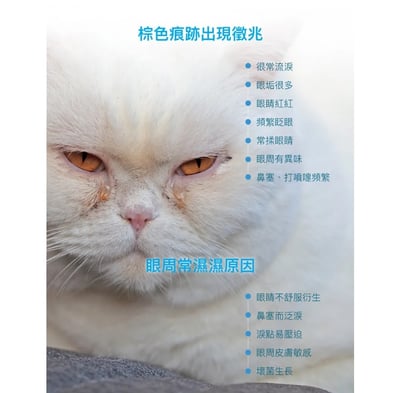 木入森MORESON 痕淨白(眼睛保健食品)2