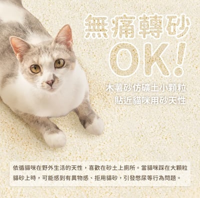 【體驗組】汪喵星球Dog Cat Star 益生菌消臭瞬凝木薯砂 2.4kg5