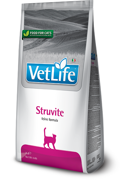 【每個月15號預購日】法米納Farmina｜天然處方系列-貓用8