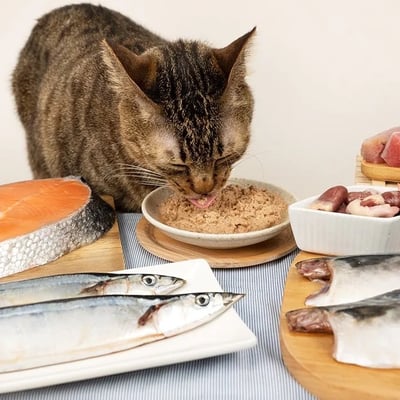 DogCatStar 汪喵星球 挑嘴貓無膠主食罐 80g&165g9