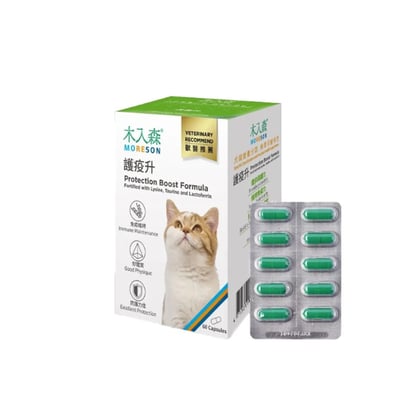 木入森MORESON 貓咪護疫升 貓咪離胺酸 (免疫配方)寵物保健 營養品 Cat Health2