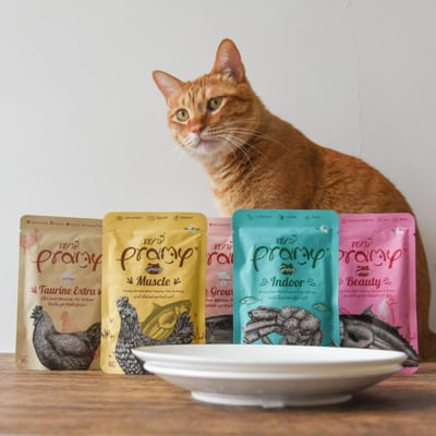 Pramy普拉 經典餐包+幼貓慕斯 70g2