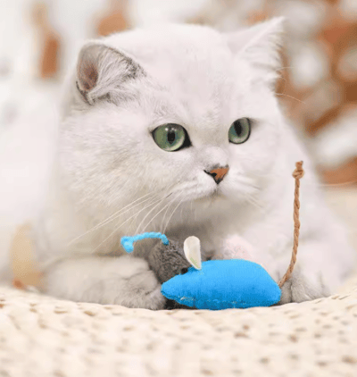 貓薄荷絨毛小老鼠 寵物玩具 貓咪小老鼠玩具6