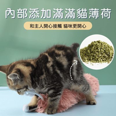 貓咪玩具 烤魚仿真 魚骨頭木天蓼 /嗨解悶凍乾搖搖樂/貓薄荷毛毛蟲響紙/貓薄荷魚耐咬13