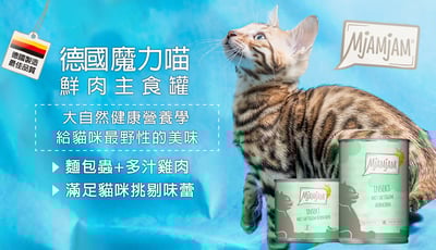 迷幻喵/奇幻妙喵/魔力喵/MjAMjAM 主食罐 200g/400g/800g/125g 全品項6