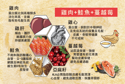 CALIMBA 德國凱琳-無穀主食貓罐 200g15