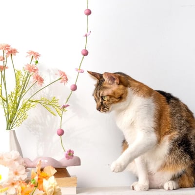 春日花與貓系列 逗貓棒｜超凝小姐4