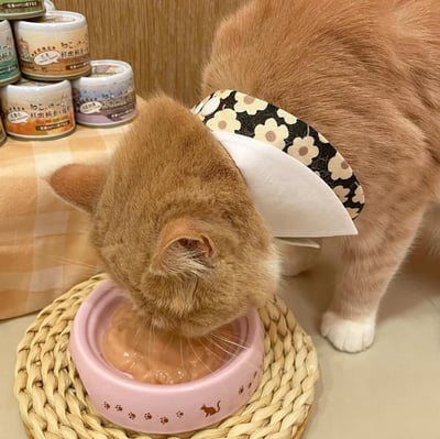 機能貓主食泥罐 | 吶一口 60g3