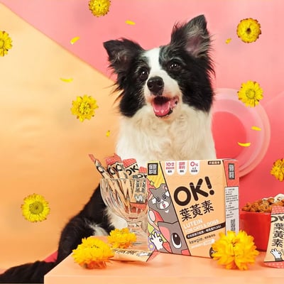 怪獸部落LitoMon OK！葉黃素（1.5g×30包）4