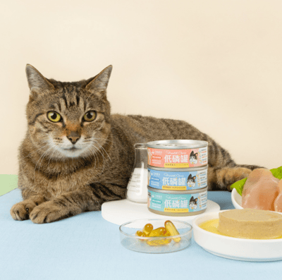 DogCatStar 汪喵星球 貓咪低磷低蛋白主食罐 80g6