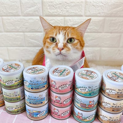 機能貓主食泥罐 | 吶一口 60g5