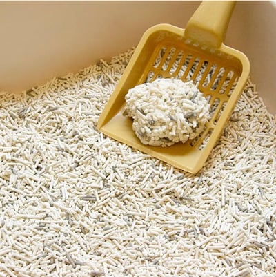 【整箱免運】DogCatStar 汪喵星球 益生菌消臭豆腐砂/泌尿健康檢測隱血砂6