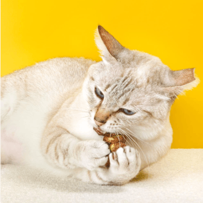 怪獸部落LitoMon 快樂凍乾蟲癭果 18G3